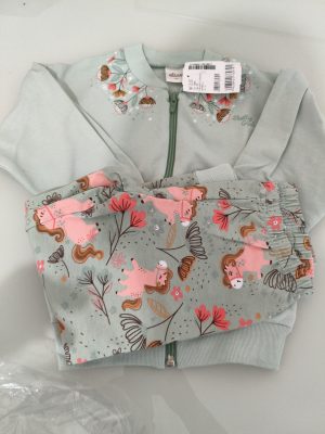 Conjunto moletom