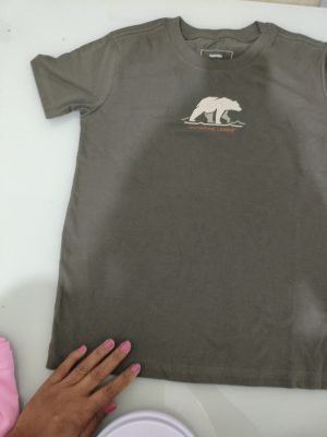 Camisa