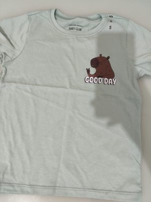 Camisa